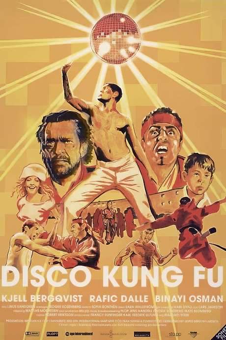 Disco Kung Fu